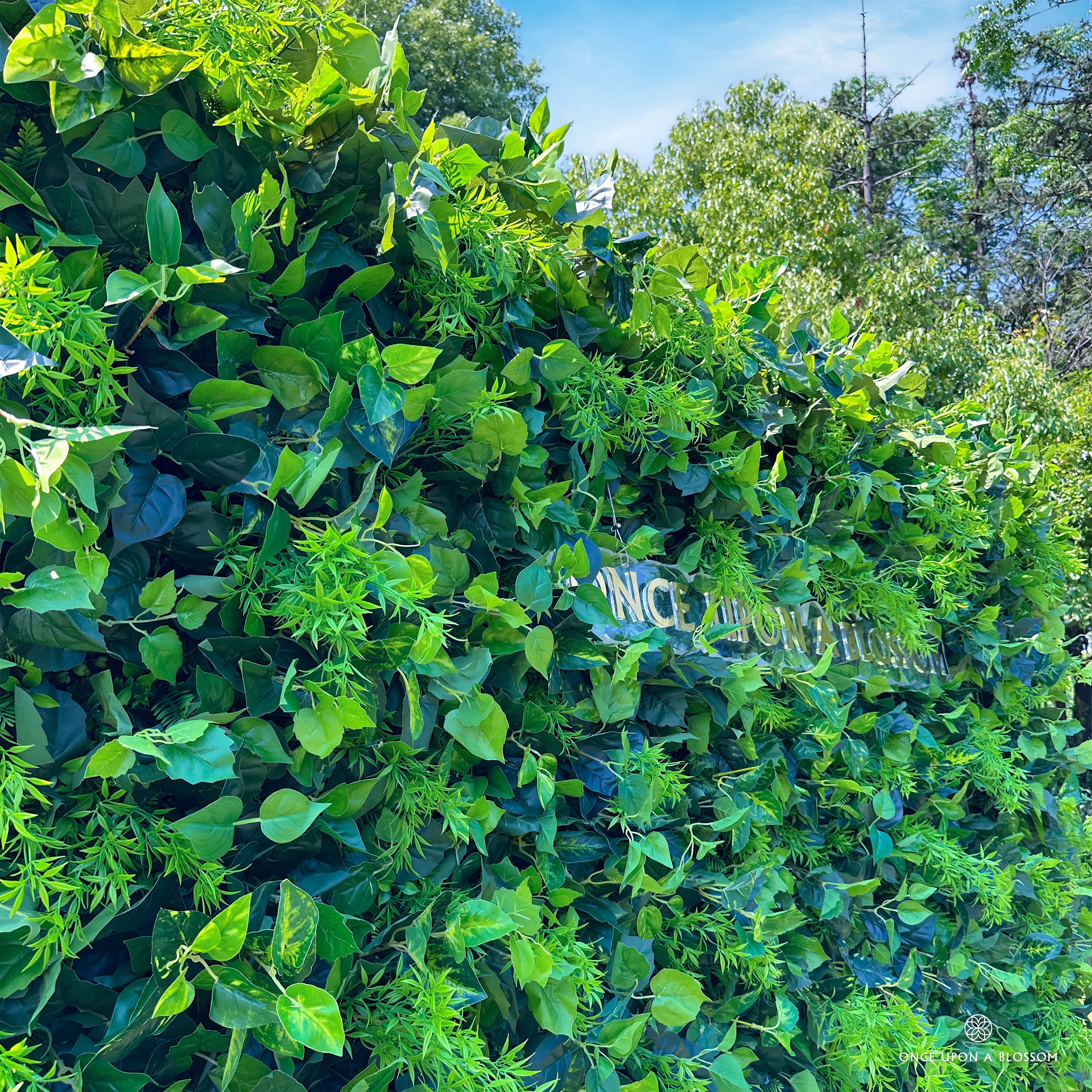 close-up of leave textures of greenery wall, from our Simply Evergreen.