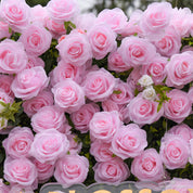 Close-up of realistic silk roses on the Daydream Blush flower wall backdrop, showing texture and premium quality.
