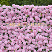Mid-shot of the Daydream Blush wedding backdrop highlighting the layered pink florals and natural color gradient.