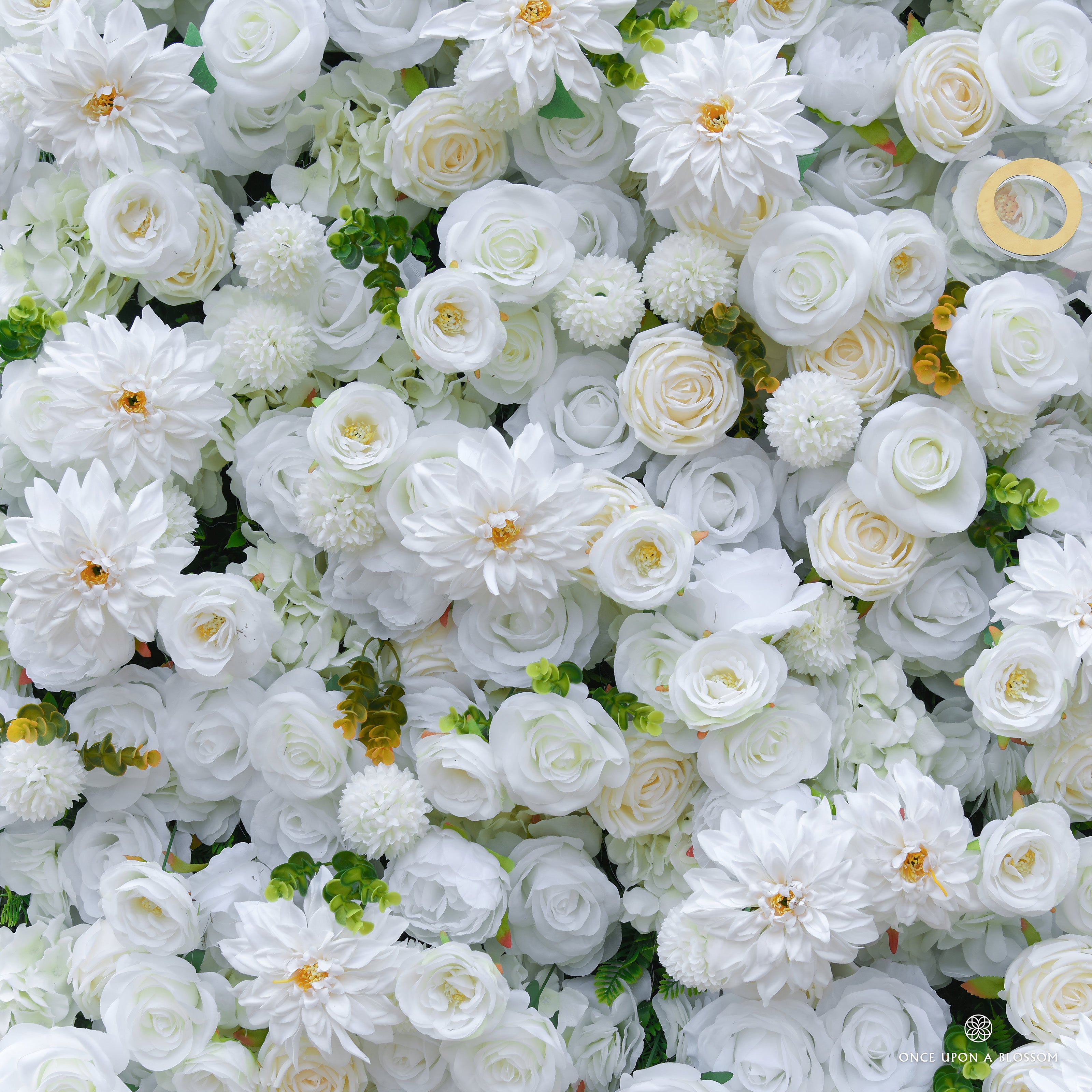 Wall of white flowers with green leaves