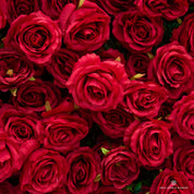 Color highlights from Love Overload, featuring red roses, red petals for a dreamy, wedding backdrop.