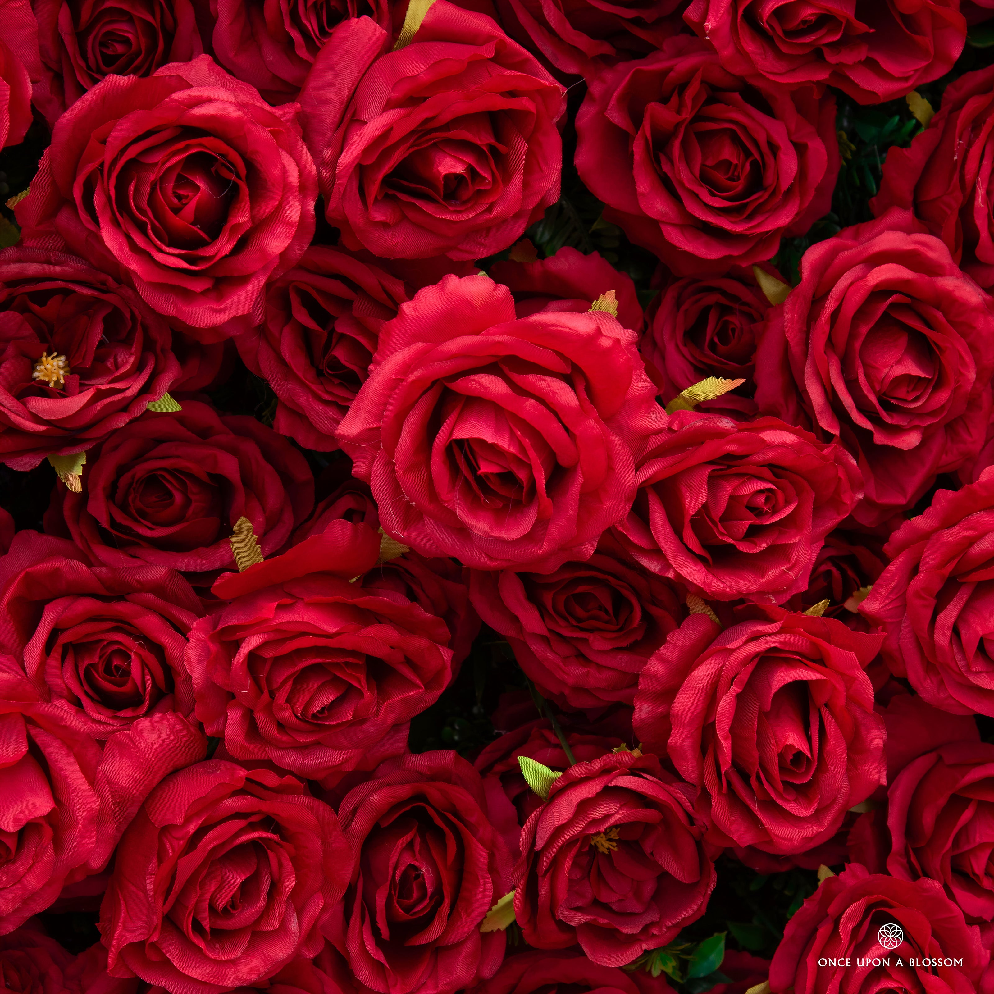 Color highlights from Love Overload, featuring red roses, red petals for a dreamy, wedding backdrop.