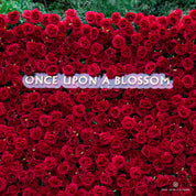 Wall of red roses with 'Once Upon a Blossom' sign