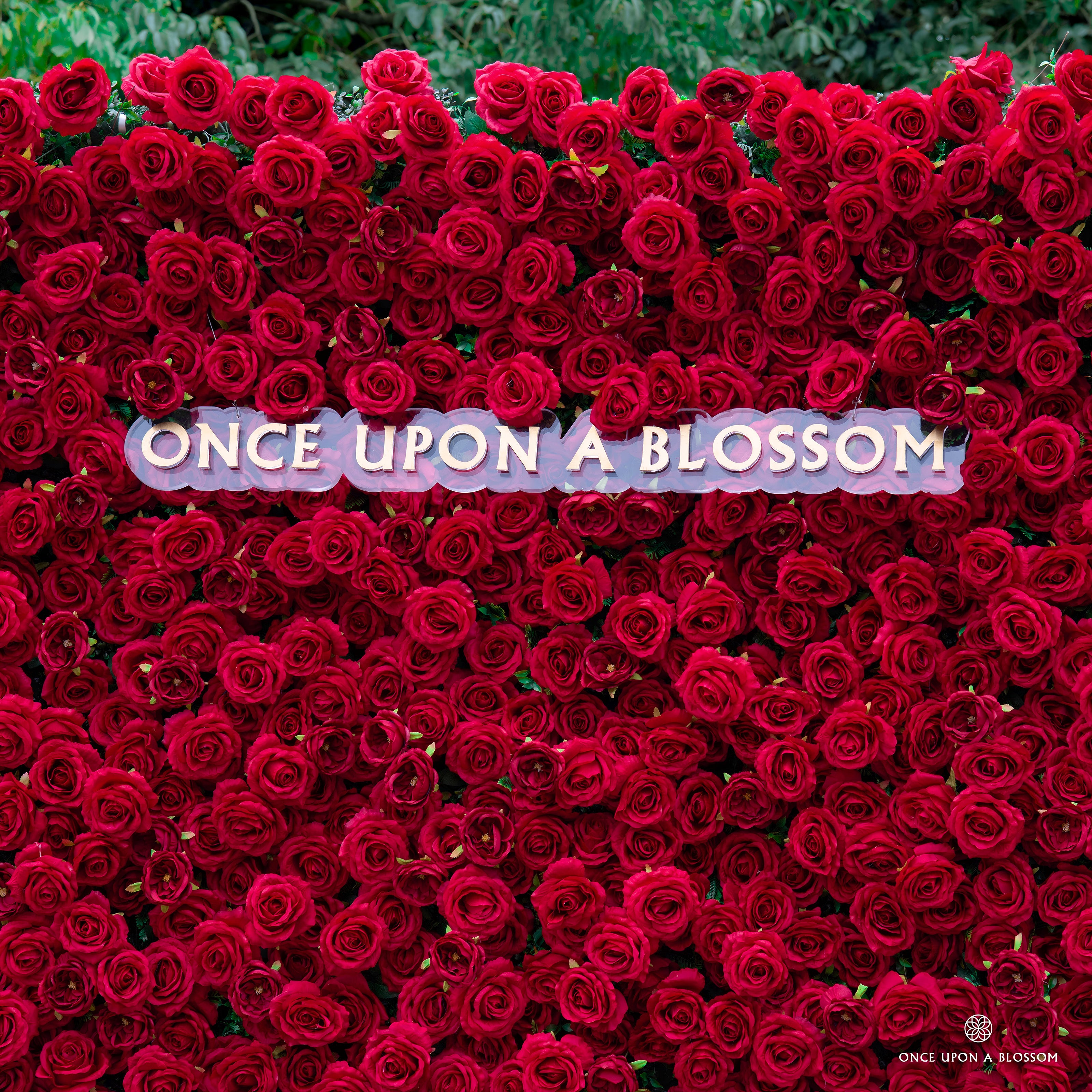 Wall of red roses with 'Once Upon a Blossom' sign