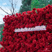 Detailed texture of bright red roses on the Love Overload red flower wall, ideal for weddings and photo booths.