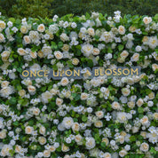 Mid-shot of the Morning Sunshine backdrop highlighting its organic greenery and warm yellow florals.