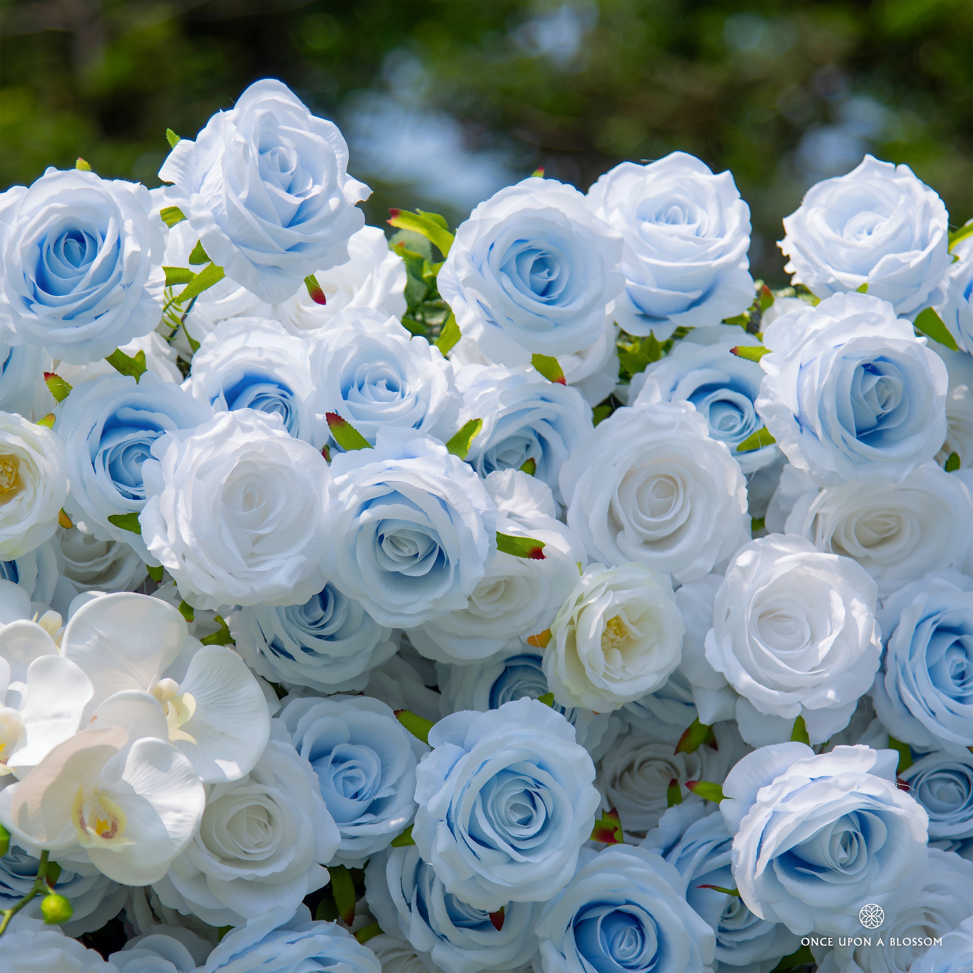 Silk florals on Cotton Sky—fresh white and soft blue arrangement.