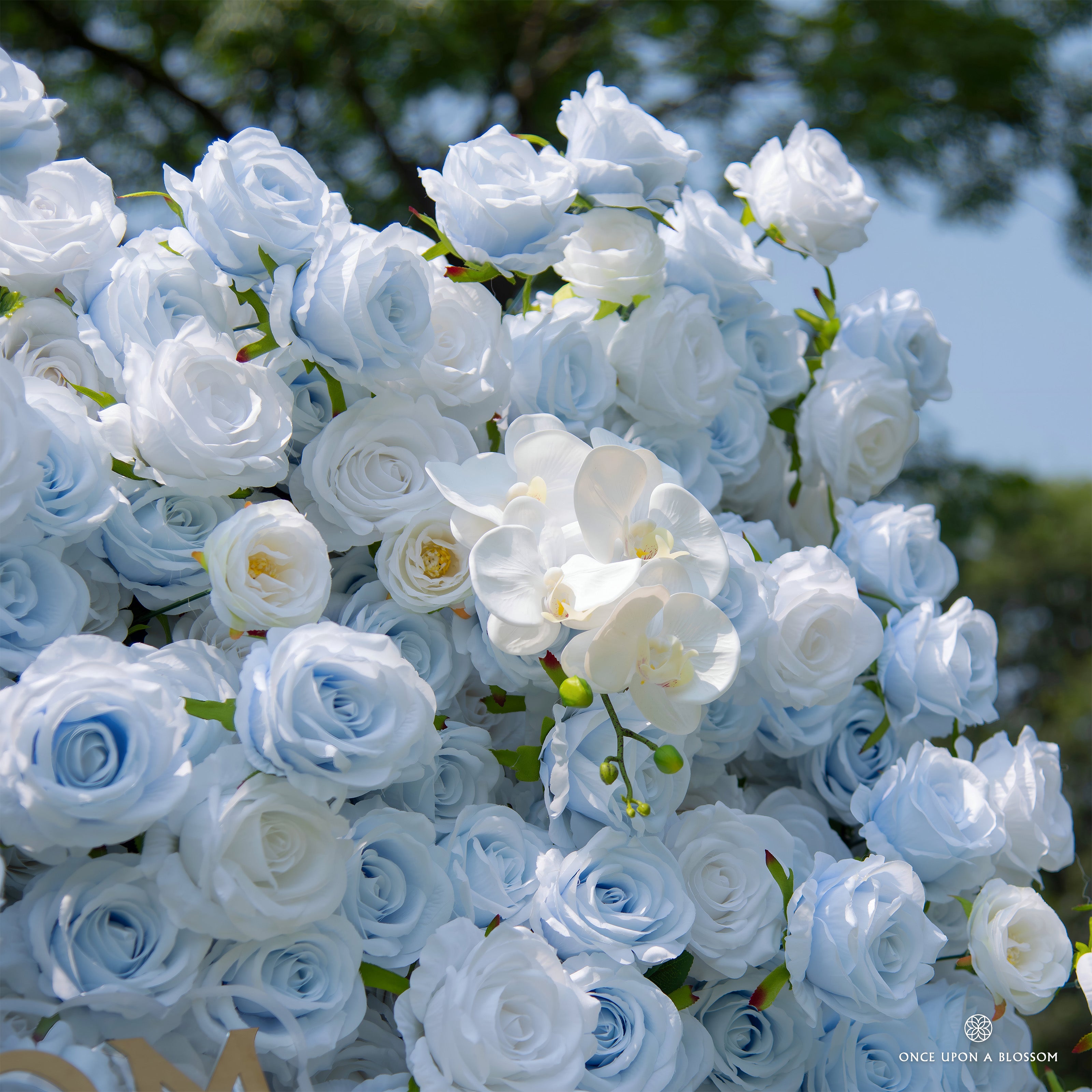 Cotton Sky floral wall showing blue and white design with clean structure.