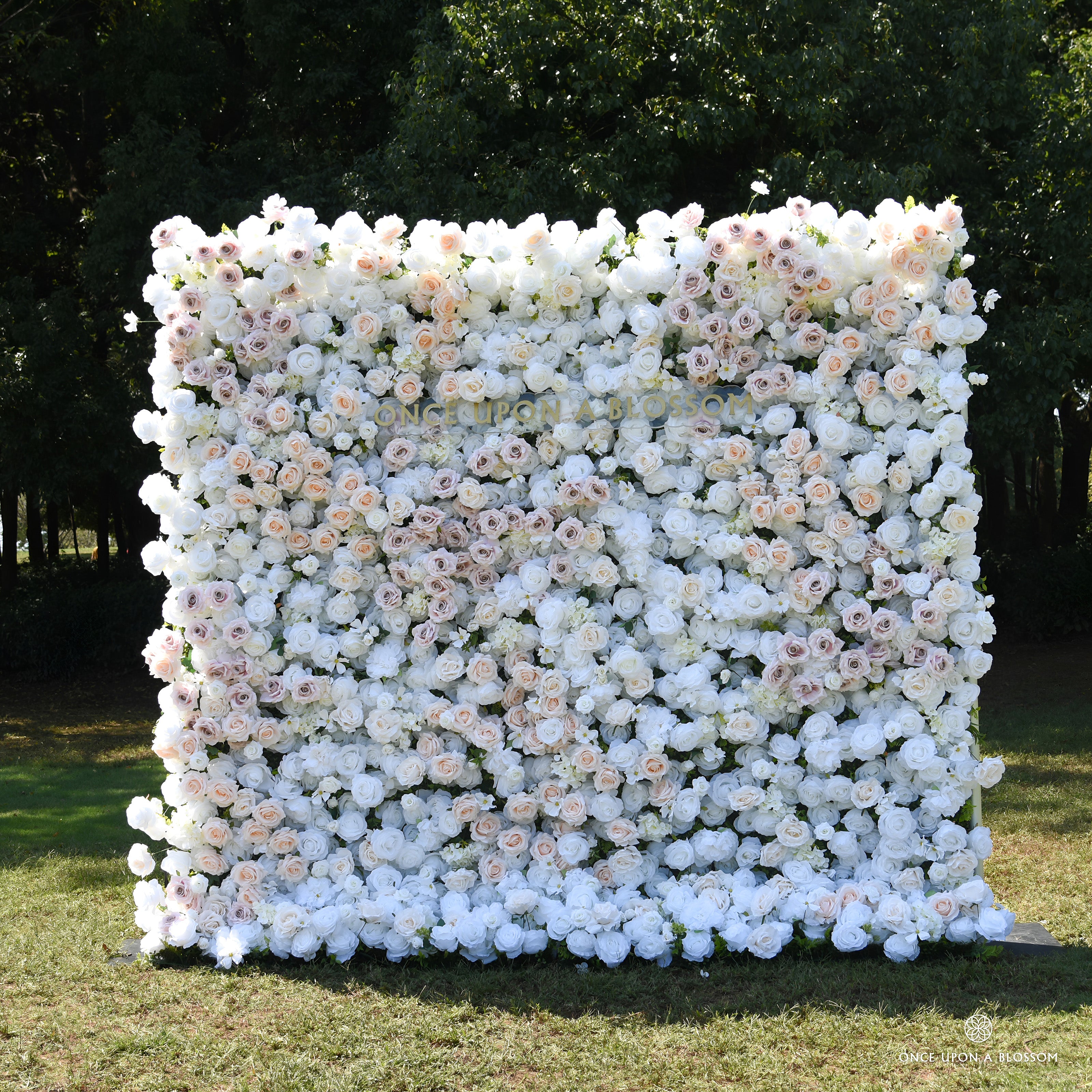 Front view of the First Blush white flower wall backdrop with blush and champagne roses, set outdoors