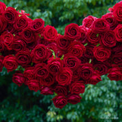 Textured view of Pulse red flower arch—romantic and eye-catching design.