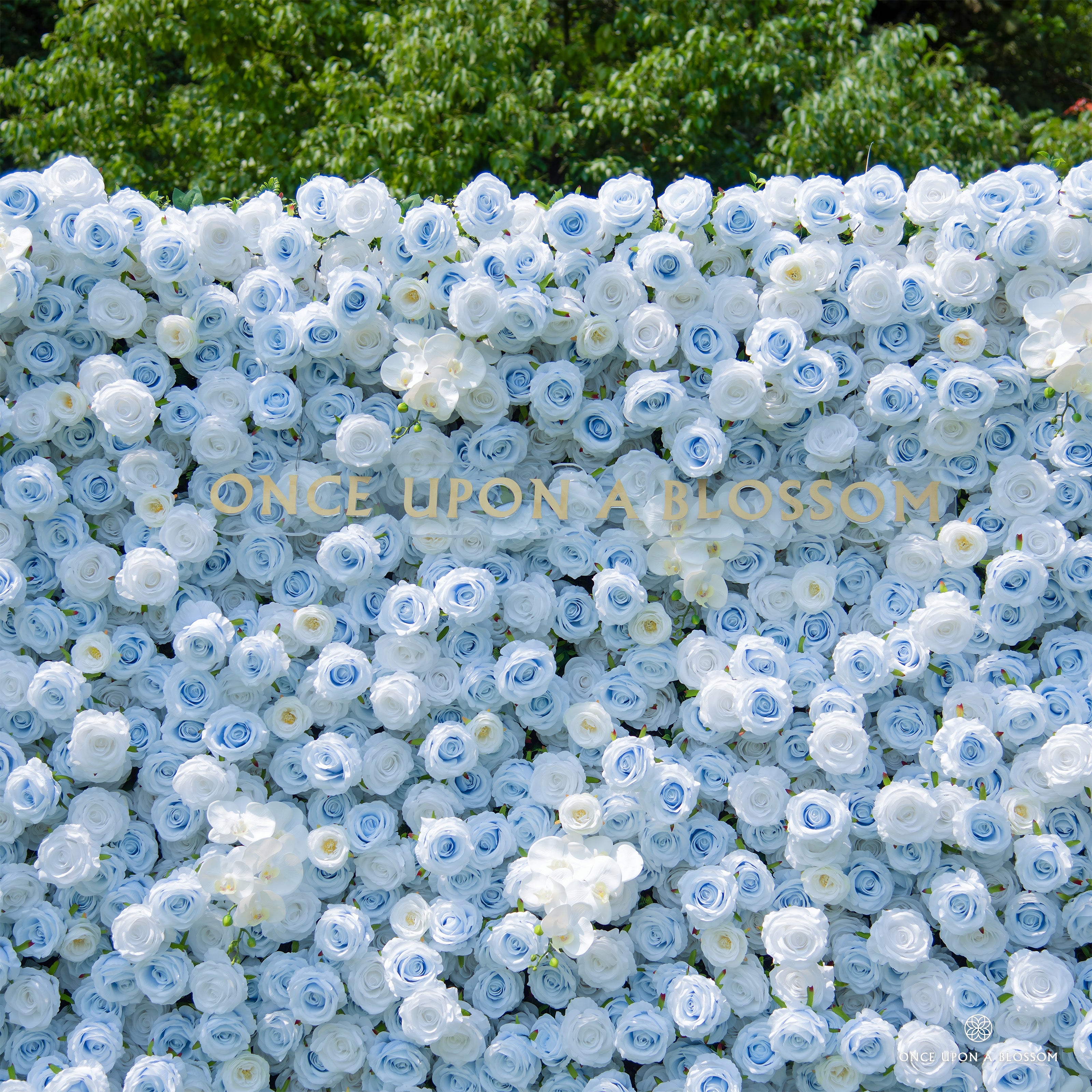 Close-up of Cotton Sky flower wall—blue and white silk roses.