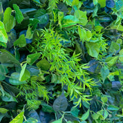 close-up of leave textures of greenery wall, from our Simply Evergreen.