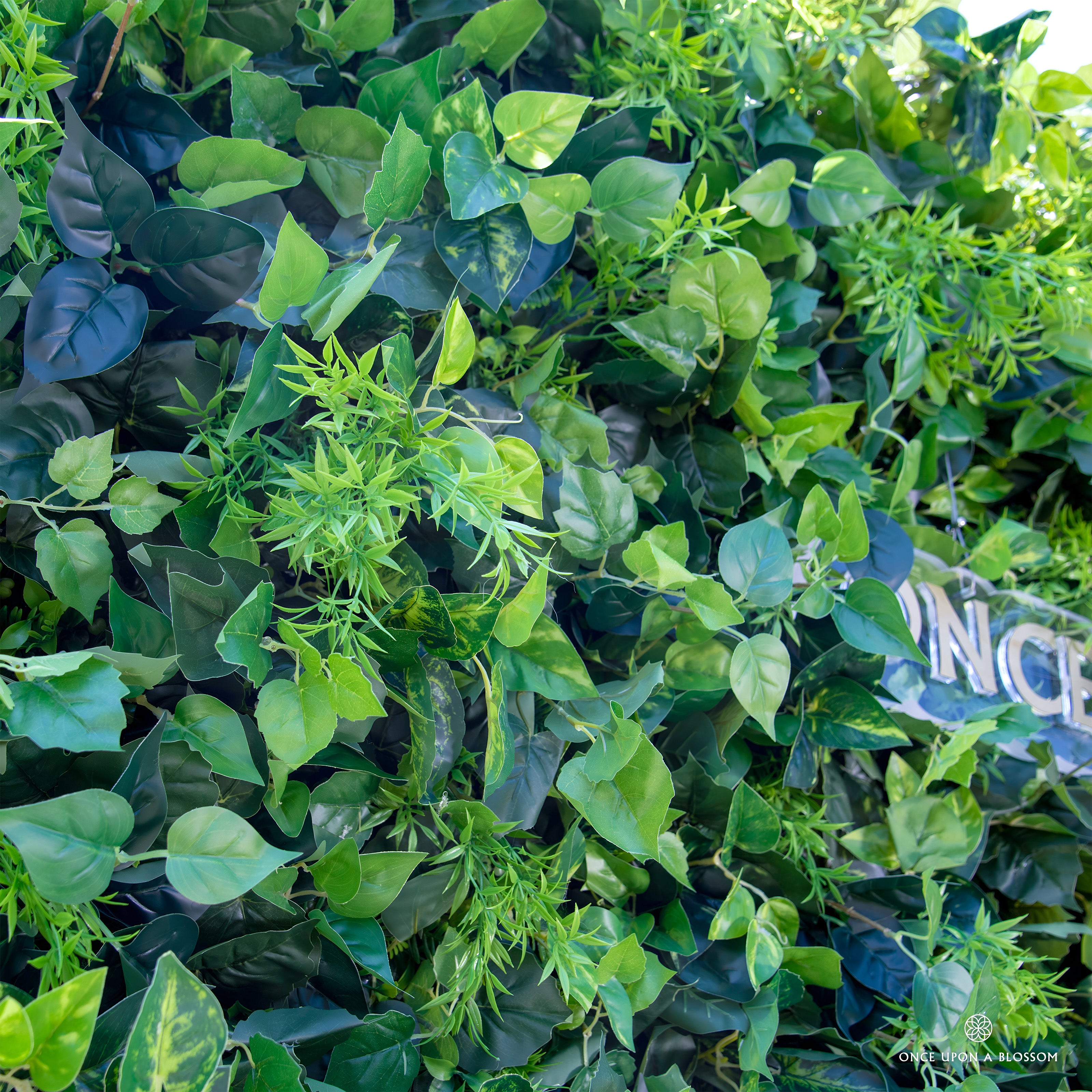 close-up of leave textures of greenery wall, from our Simply Evergreen.
