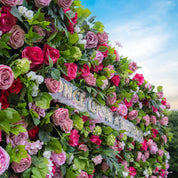 Close-up of Summer Sangria rose wall—purple, plum, and mauve blooms.