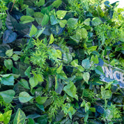close-up of leave textures of greenery wall, from our Simply Evergreen.