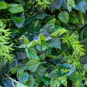 close-up of leave textures of greenery wall, from our Simply Evergreen.