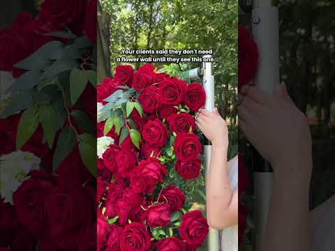 Lost Roses video – deep red rose flower wall for romantic events and proposals.