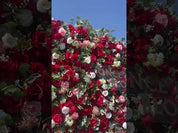 Flower Wall – Red Rose Wedding Backdrop for Event Party Proposal Decor | Ruby Rouge