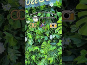 Pearl Garden – Greenery Flower Wall for Organic Parties & Events
