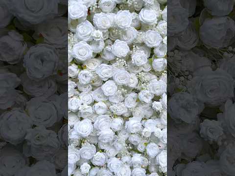 Angel’s Breathe showcase video – soft white flower wall with airy silk blooms and a light, cloudlike feel.