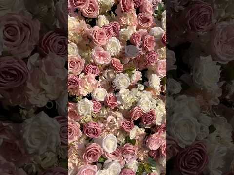 Rosé All Day – Pink Rose Flower Wall for Bridal Showers & Weddings