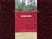 Love Overload – Red Rose Flower Wall Backdrop for Weddings & Proposals